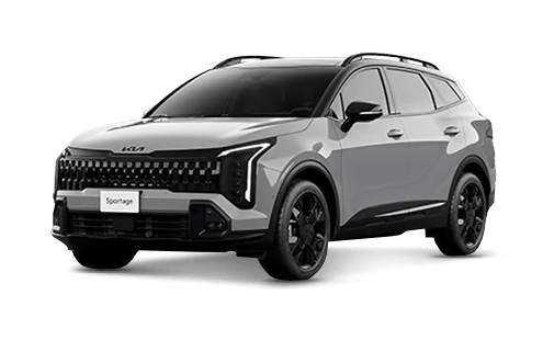 Wolf Gray Black